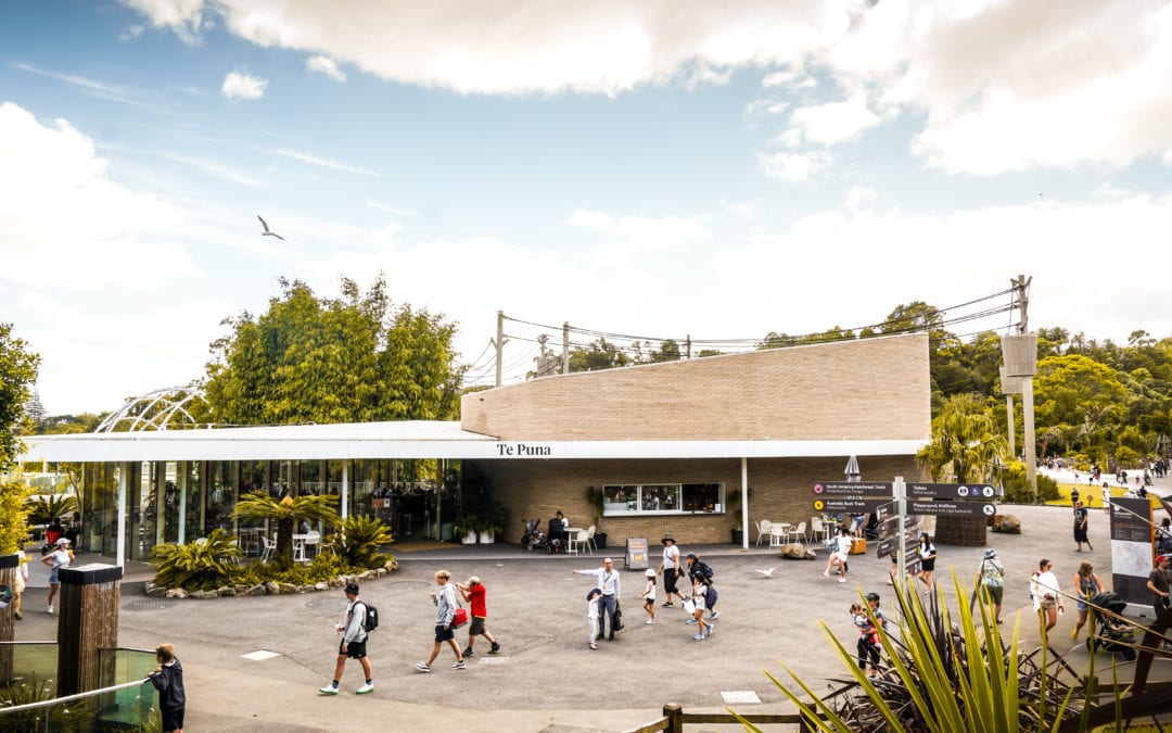 Auckland Zoo – Redevelopment