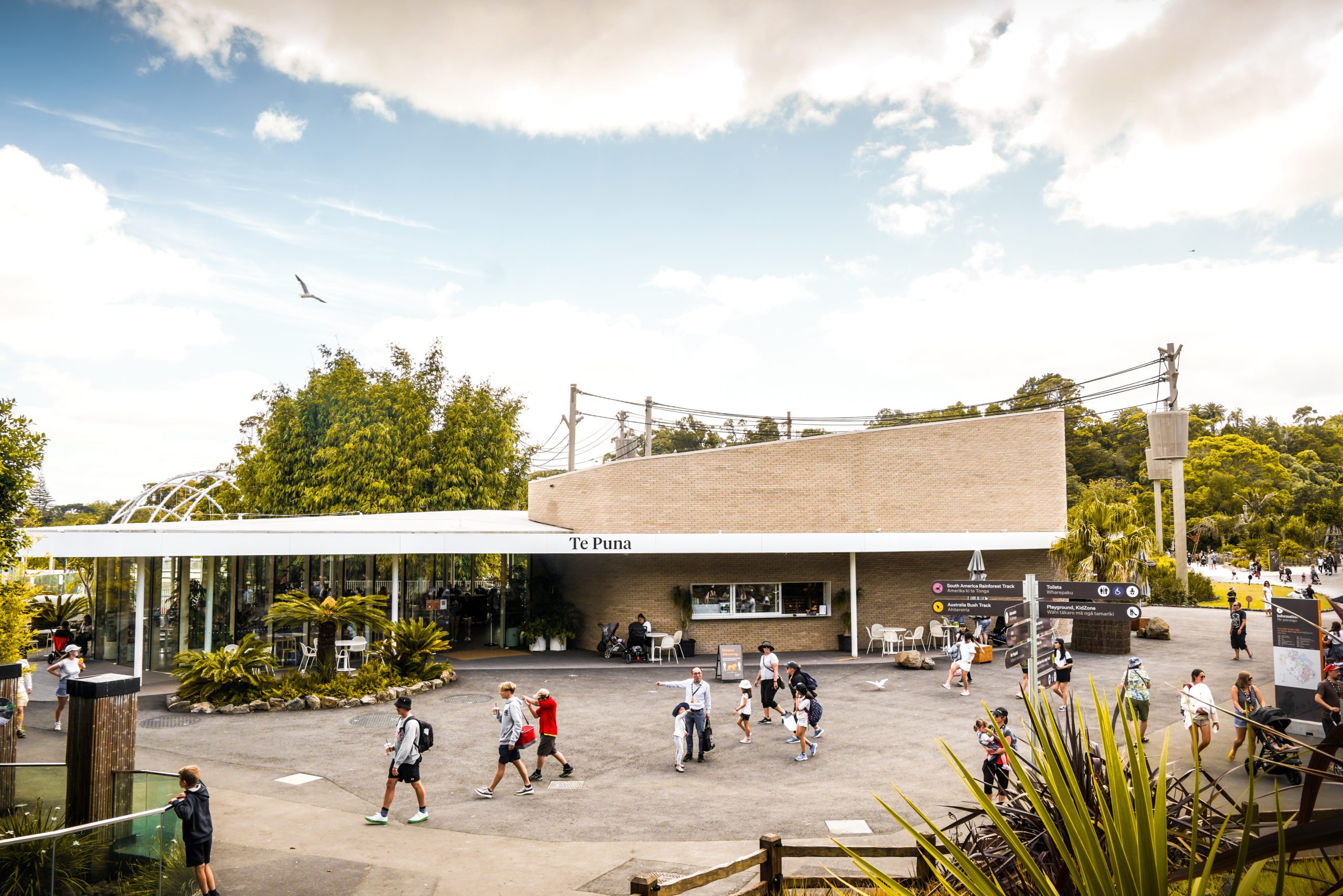 Auckland Zoo - Redevelopment